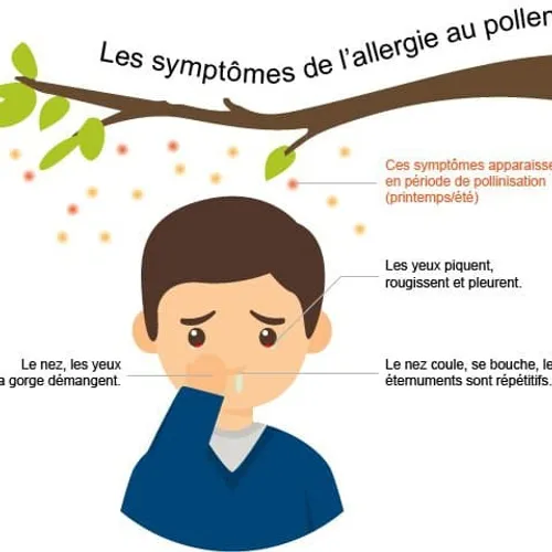 JOURNAL DU MARDI 27 AVRIL (MATIN)